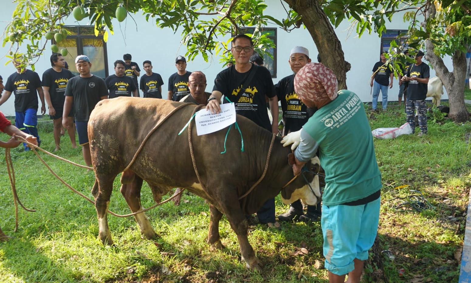 Semangat Berbagi di Idul Adha, UHT Libatkan Mahasiswa dan Dosen dalam Kurban 2026